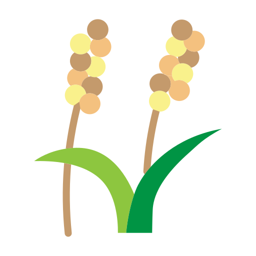 Millets & Sridhanya